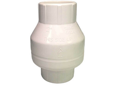 Valterra 2 InchS X 2 InchS PVC Check Valve 200-20W