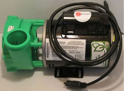 Dynasty Spa Pump 14851 6HP 1-Speed 230V 3M11221-107JDY