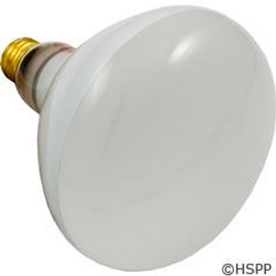 Pool Light Bulb Flood Lamp 500W 120V Halco