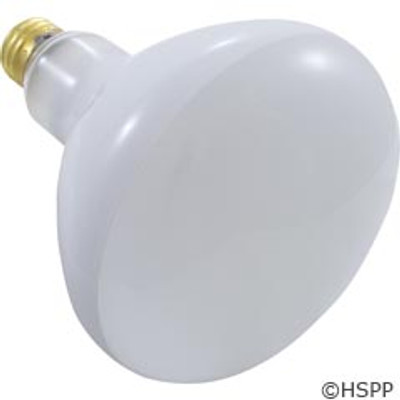 Pool Light Bulb Flood Lamp 300W 120V