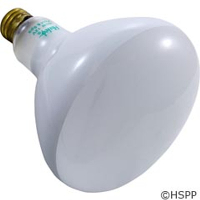 Pool Light Bulb Flood Lamp 300W 12V