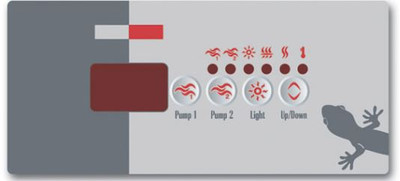 TSC-18 GE2 Overlay 9916-100240 2 PUMPS