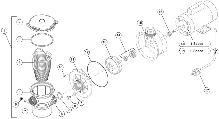 diagram-waterway-center-discharge-pool-pump.jpg