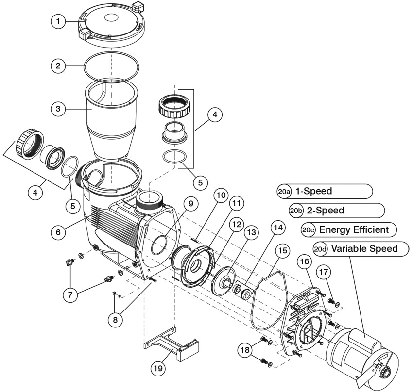 diagram-zodiac-jandy-jhp-jhpu-pumps.jpg