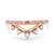 BLDSM19810