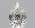 Pear 0.5 H VVS1 - #86063