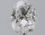 Oval 3 D VS2 - #96378
