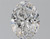 Oval 3.01 D SI1 - #96398