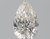 Pear 0.59 H VVS1 - #86664