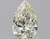 Pear 0.78 M VVS1 - #87576