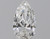 Pear 1 F VS1 - #88021