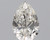 Pear 1 H SI1 - #88082