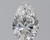 Pear 1.7 F SI1 - #88544