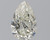 Pear 2.01 J SI2 - #88691