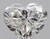 Heart 0.5 J VVS2 - #89117