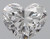 Heart 0.5 D VS1 - #89176