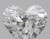 Heart 0.59 D SI2 - #89500