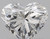Heart 0.67 F VVS1 - #89568