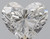 Heart 0.7 F VS2 - #89728