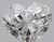 Heart 0.7 F SI2 - #89781