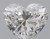 Heart 0.7 D VS2 - #90033
