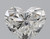 Heart 0.72 G VS2 - #90278