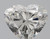 Heart 0.8 F SI1 - #90582