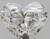 Heart 0.8 H VS2 - #90619