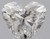 Heart 0.81 G SI1 - #90677