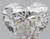 Heart 0.9 G SI1 - #90772
