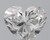 Heart 1.5 D SI2 - #91204