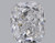 Cushion 0.55 D SI1 - #104502
