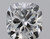 Cushion 1.01 G VS2 - #67081