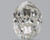 Oval 1 G VVS2 - #94681