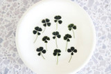 Edible Clovers with Four Leaves 10pcs