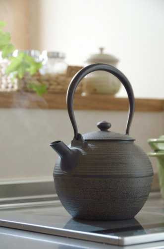 Chushin Kobo Cast Iron Teapot "HIKIME"