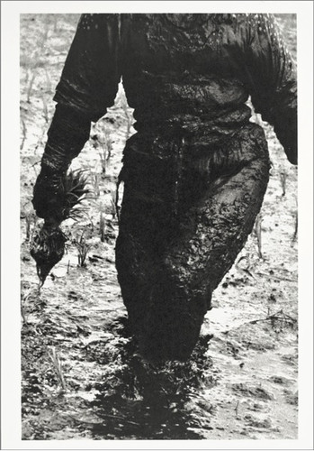 BENRIDO COLLOTYPE Postcard, "Rice Planting Lady"