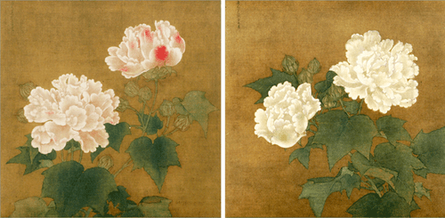 BENRIDO COLLOTYPE Print "Red and White Cotton Roses"