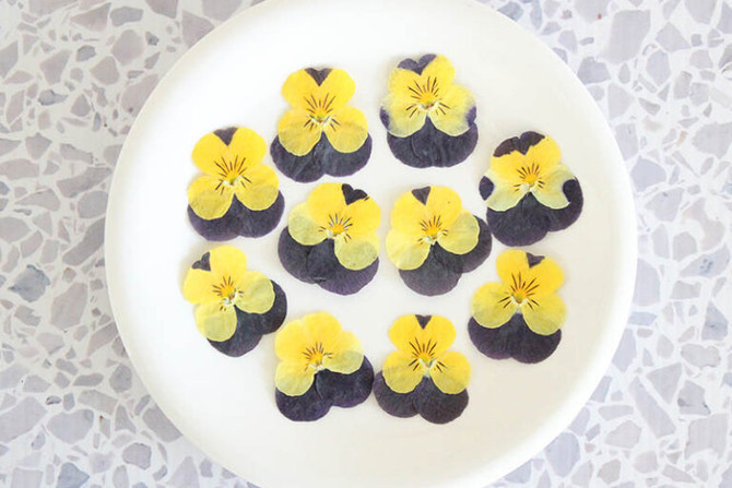 Edible Dried Viola Flowers Blue & Yellow, 10pcs (February - June)