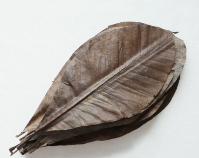 Brown Dried Hoba Leaves for Garnishing, 50pcs