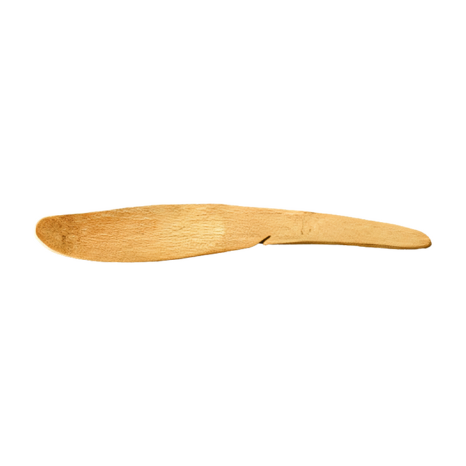 WASARA Disposable Bamboo Spoon, Biodegradable