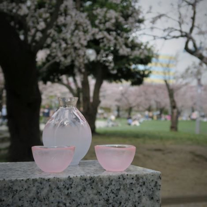 Glass Pink Sake Cup, "HANAHONOKA" 1pc. (HO-9N)