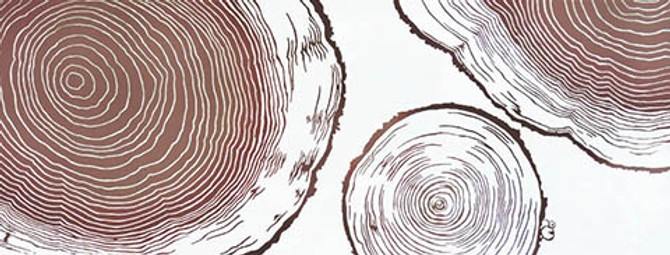 Rienzome Tenugui Cloth with Tree Ring Pattern (921)