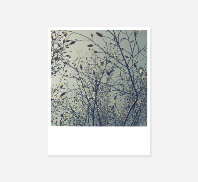 Collotype Mini Portfolio Rinko Kawauchi EARLY WORKS 1997