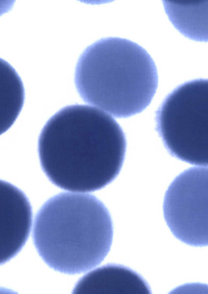 Tenugui with Modern Round White & Blue Patterns (987)