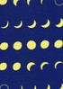 Rienzome Tenugui Cloth "Phases of the Moon" (779)
