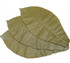 Green Hoba Leaves for Cookingwith Miso, 100pcs