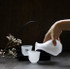 Frozen Glass Sake SET with Lacquer Tray, "SNOWSTORM", pitcher + 2 cups