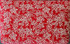 INDENYA Compact Purse for Coins & Cards 1012, Grapes White on Red