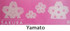 IEDA Reusable Mino Paper Window Decoration Set SAKURA 4 pcs., YAMATO